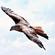 http://modoo.co/data/file/free/thumb-1025883692_usEZnRWO_4dbb624f40575c1beb3899cbaa0de518af3e041b_80x80.jpg